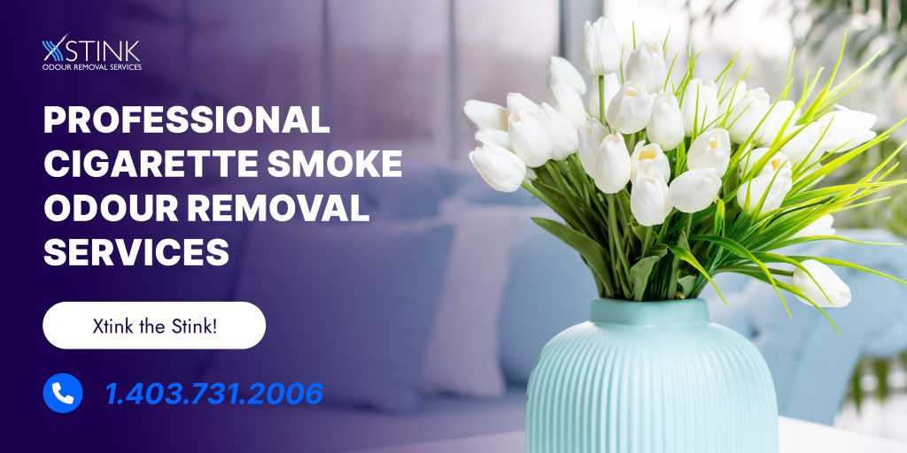 Professional Cigarette Smoke Odour Removal Services